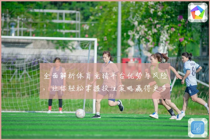 全面解析体育竞猜平台优势与风险，让你轻松掌握投注策略赢得更多奖励